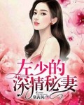 左少的深情秘妻1 封面