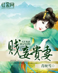 贱妾贵妻_青丝雪