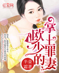 欧少的掌上罪妻 封面