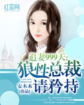 追妻999天：狼性总裁请矜持 封面