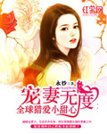 宠妻无度：全球猎爱小甜心 封面