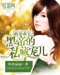 萌妻乖宝:黑帝的私藏宠儿 封面