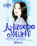 盛宠萌妻:大叔,太深情 封面