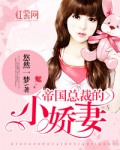 帝国总裁的小娇妻 封面