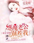霸爱宠婚：恶魔老公别惹我 封面