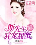婚内燃情：斯先生狂宠甜蜜妻 封面