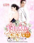 娇妻重生:冰山总裁深深宠 封面