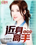 女神的近身高手 封面