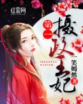 第一摄政王妃小说