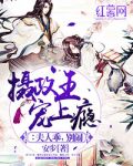 摄政王宠上瘾：夫人乖，别闹小说
