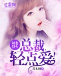 辣妻似火：总裁，轻点爱！ 封面